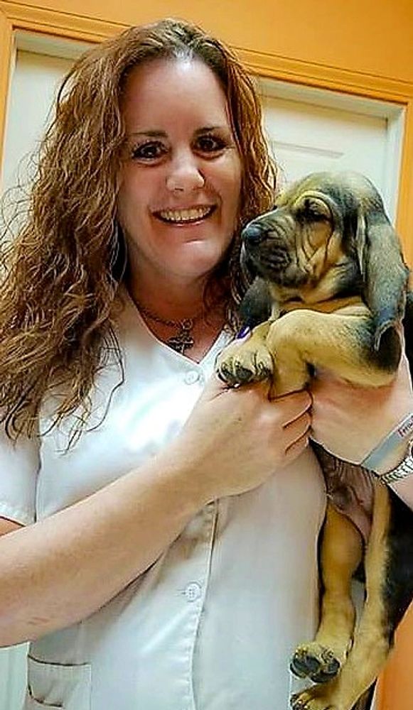 Cvaccpets Small Animal Care in Bella Vista Bentonville, Arkansas